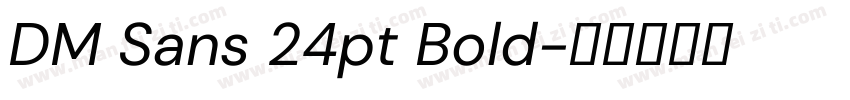 DM Sans 24pt Bold字体转换